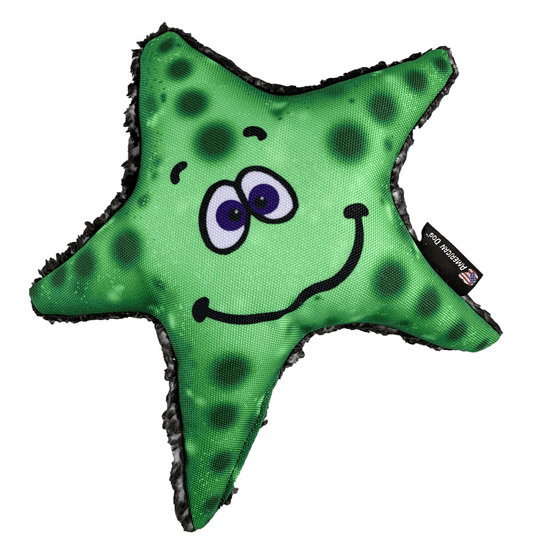 Stanley Durable Floatable Starfish Dog Toy